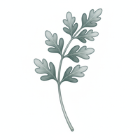 Artemisia