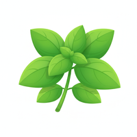 Basil