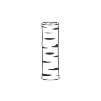 Birch