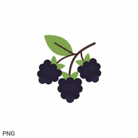 Blackberry