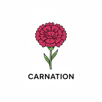Carnation