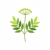 Galbanum
