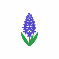 Hyacinth