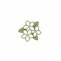 Jasmine