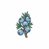 Juniper Berry