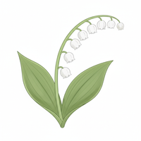 Lily of the Valley