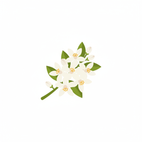 Neroli