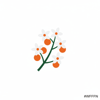 Orange Blossom