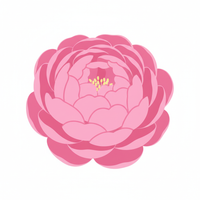 Peony