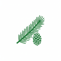 Pine