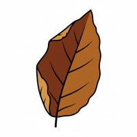 Tobacco Leaf