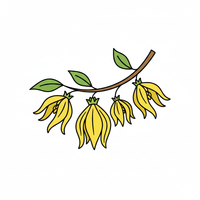 Ylang-Ylang